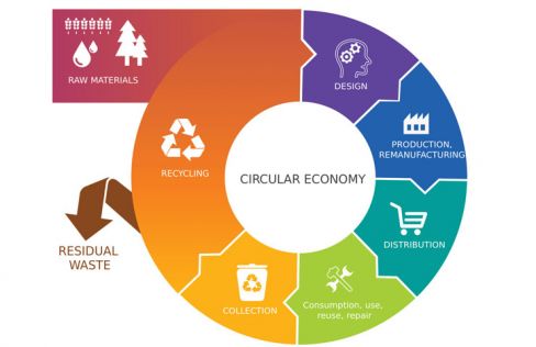 GREEN PRODUCTS AND CIRCULAR ECONOMY
